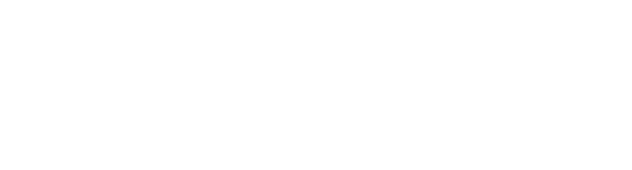 WAY-Plan
